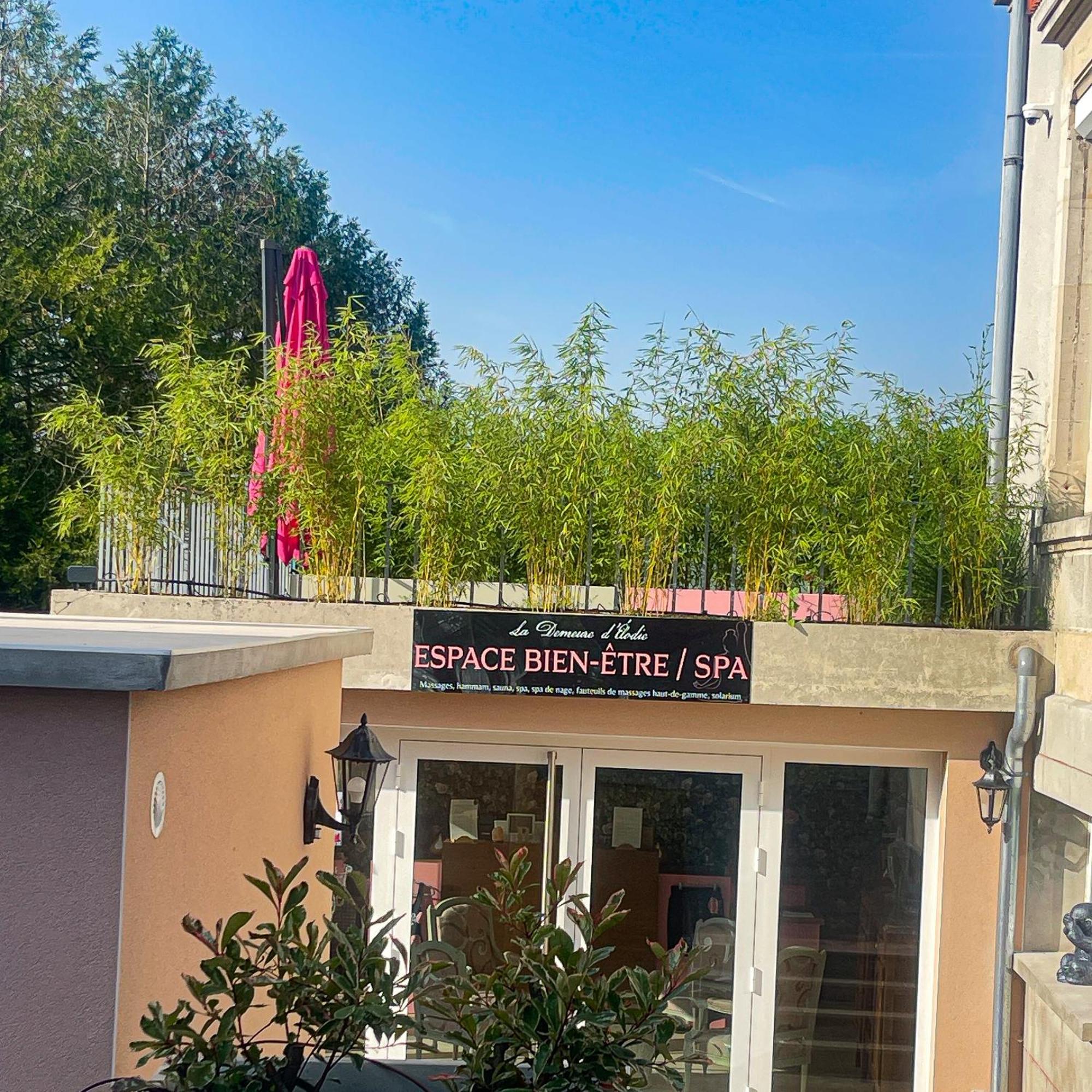 La Demeure D'Elodie Épernay Esterno foto